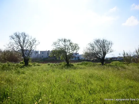 Βίβλος Νάξου – Οικόπεδο 1.258m2 / 640668
