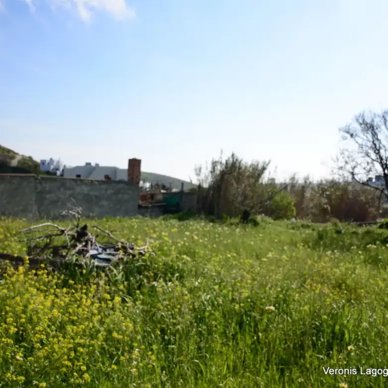 Vivlos Naxos – Plot 1,258m2 / 640668