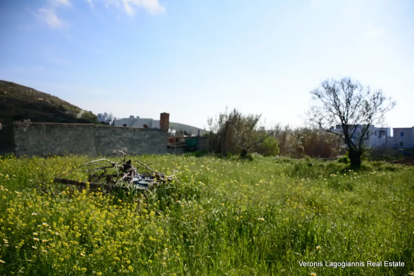 DSC_1308 Vivlos Naxos – Plot 1,258m2 / 640668