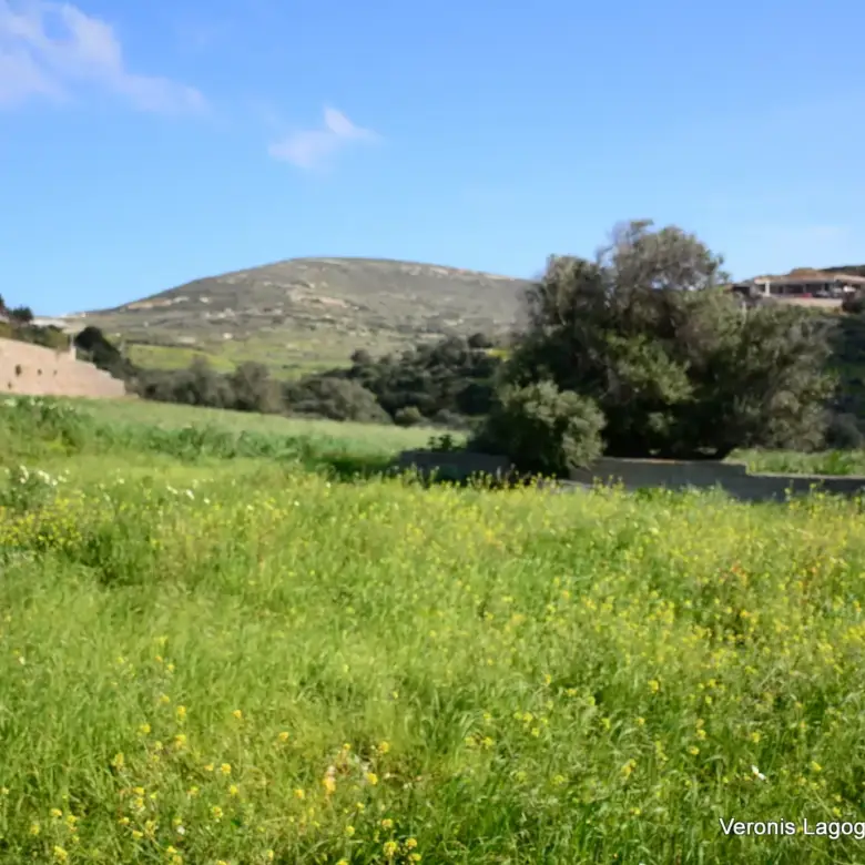 Vivlos Naxos – Plot 1,258m2 / 640668