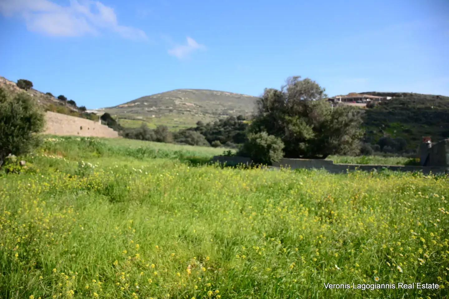 DSC_1309 Vivlos Naxos – Plot 1,258m2 / 640668