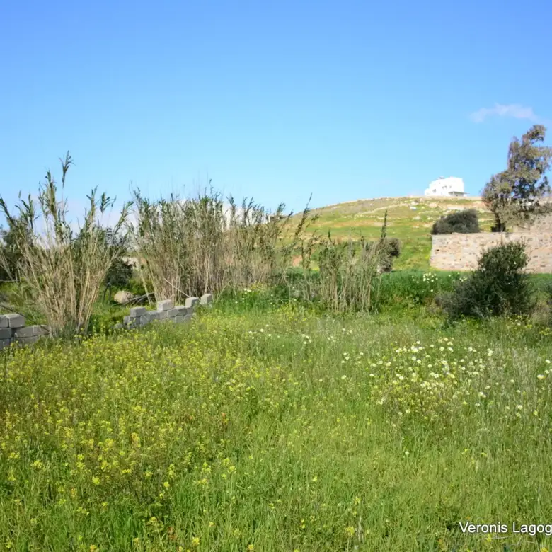 Vivlos Naxos – Plot 1,258m2 / 640668