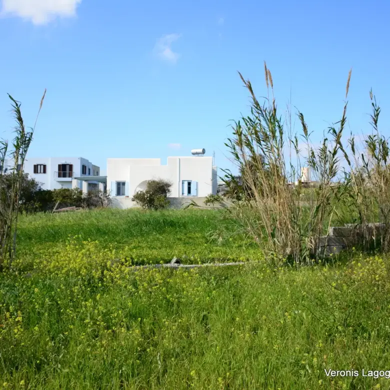 Vivlos Naxos – Plot 1,258m2 / 640668