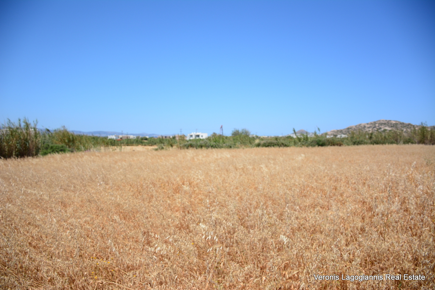 Plaka Naxos – Plot 2.500m2 / 640680