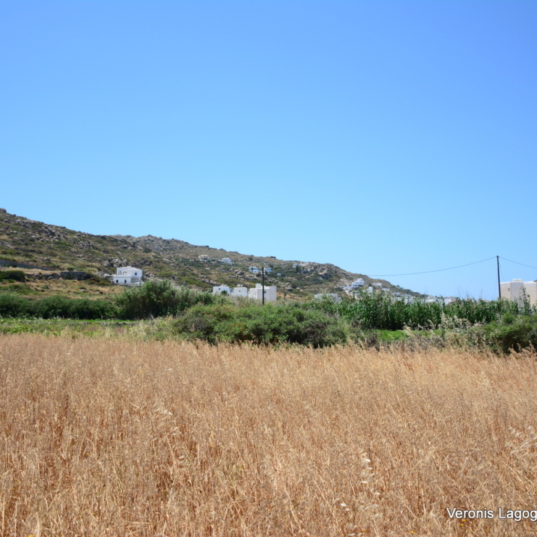 Plaka Naxos – Plot 2.500m2 / 640680