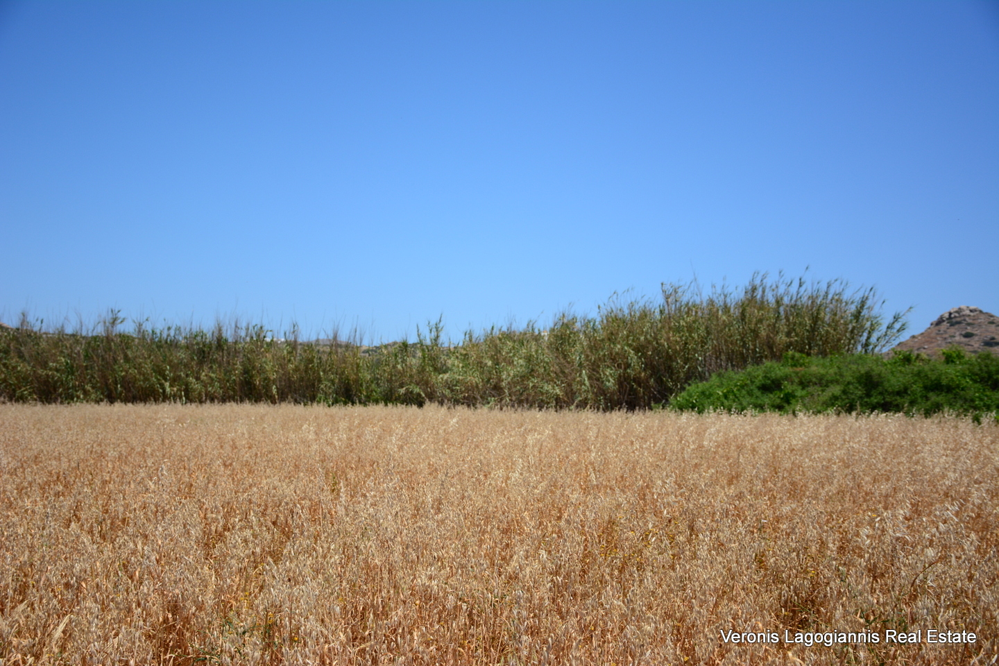 Plaka Naxos – Plot 2.500m2 / 640680