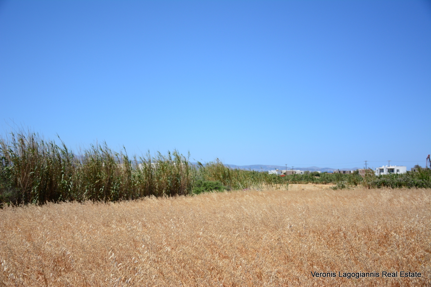 Plaka Naxos – Plot 2.500m2 / 640680