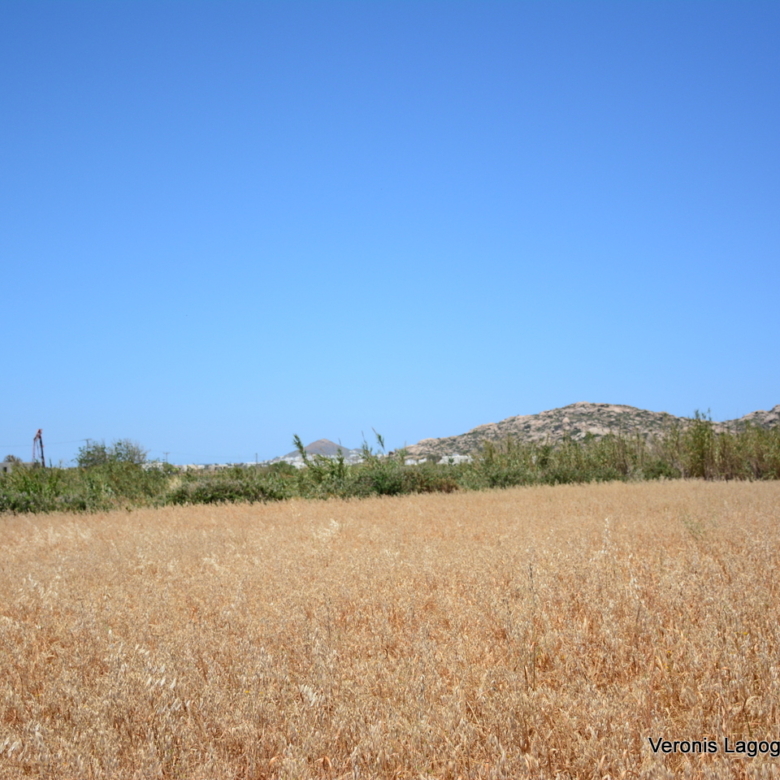 Plaka Naxos – Plot 2.500m2 / 640680