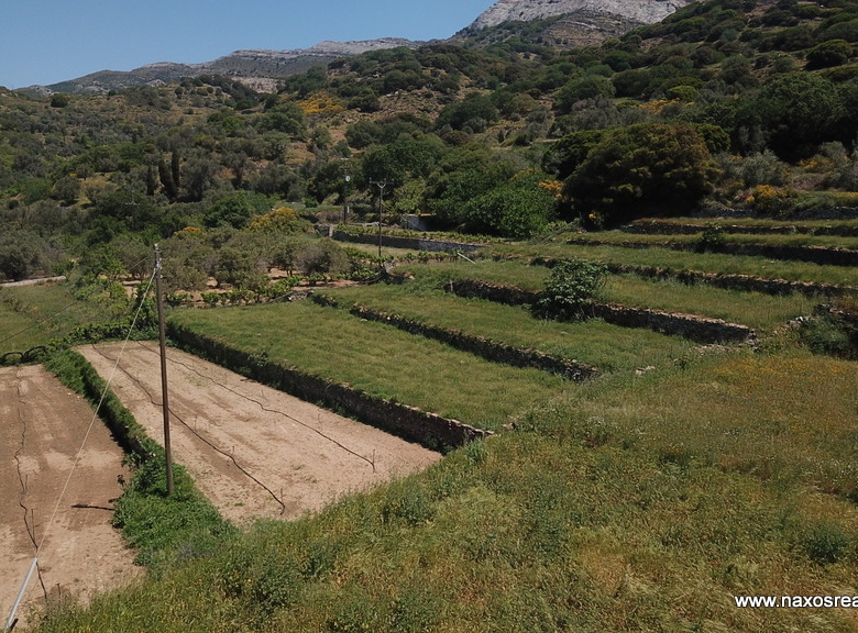 Μονή Νάξου – Αγροτεμάχιο 4.030m2 / 640686