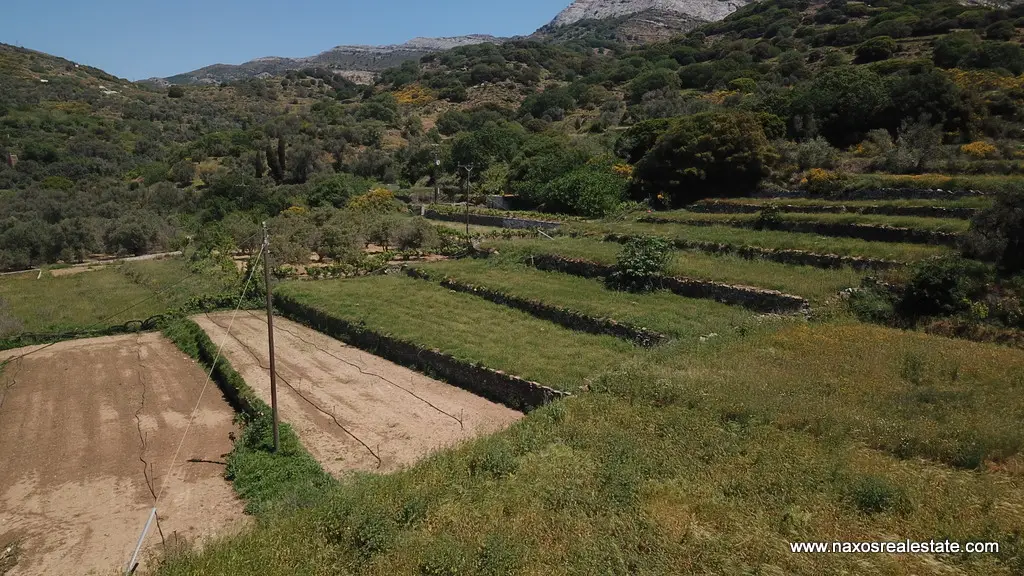 Moni Naxos – Plot 4.030m2 / 640686