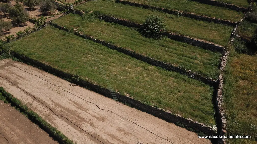 Moni Naxos – Plot 4.030m2 / 640686