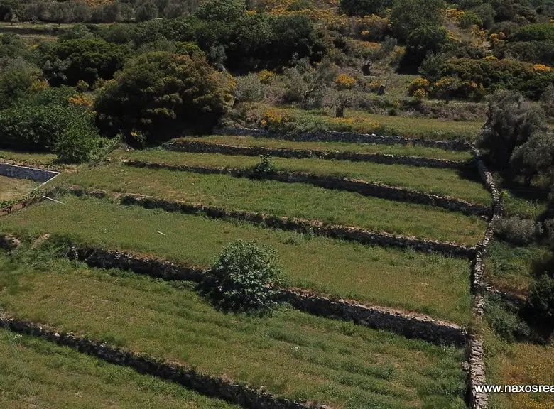 Moni Naxos – Plot 4.030m2 / 640686