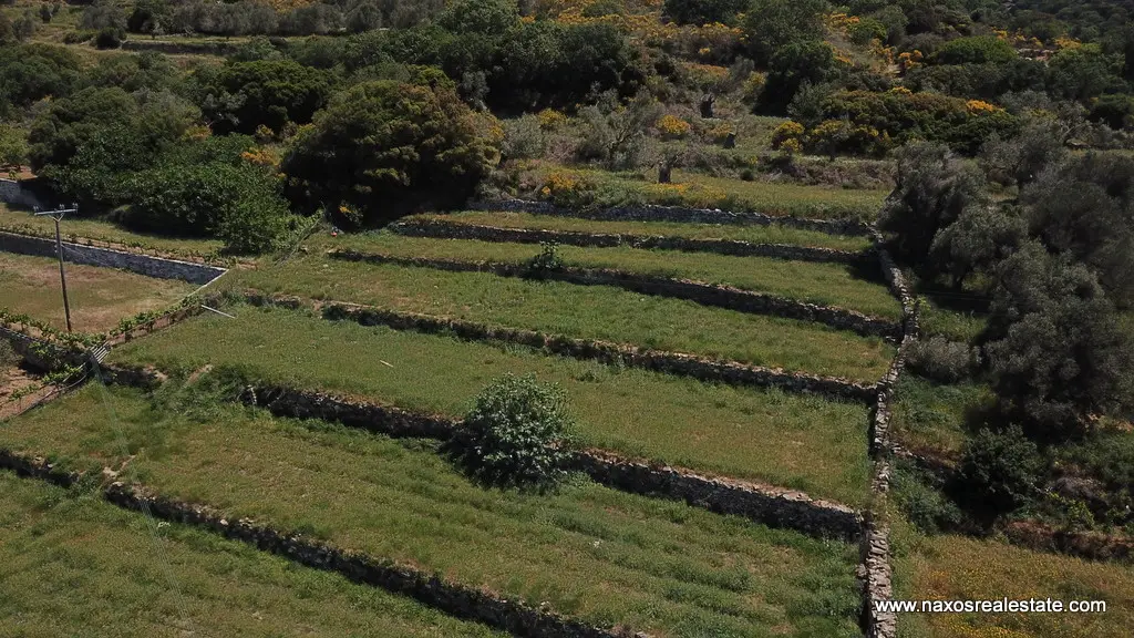 Moni Naxos – Plot 4.030m2 / 640686
