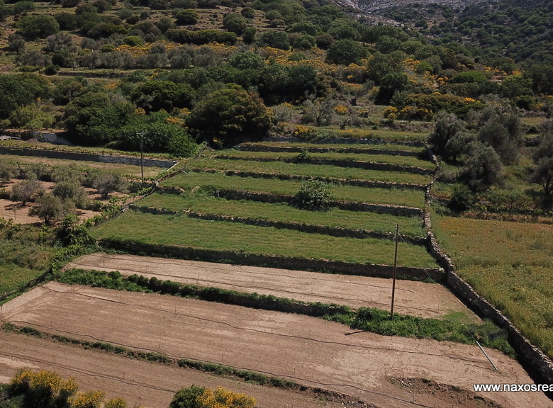 Μονή Νάξου – Αγροτεμάχιο 4.030m2 / 640686