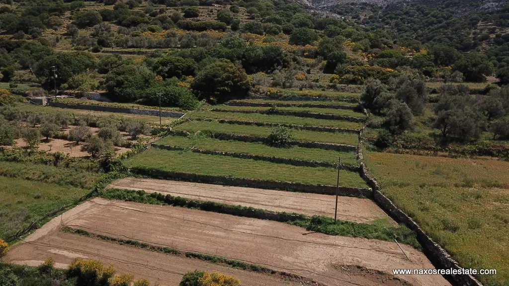 Moni Naxos – Plot 4.030m2 / 640686
