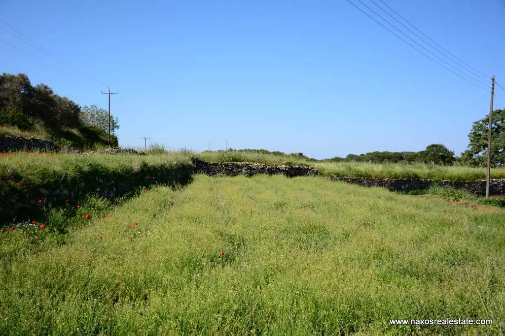Moni Naxos – Plot 4.030m2 / 640686