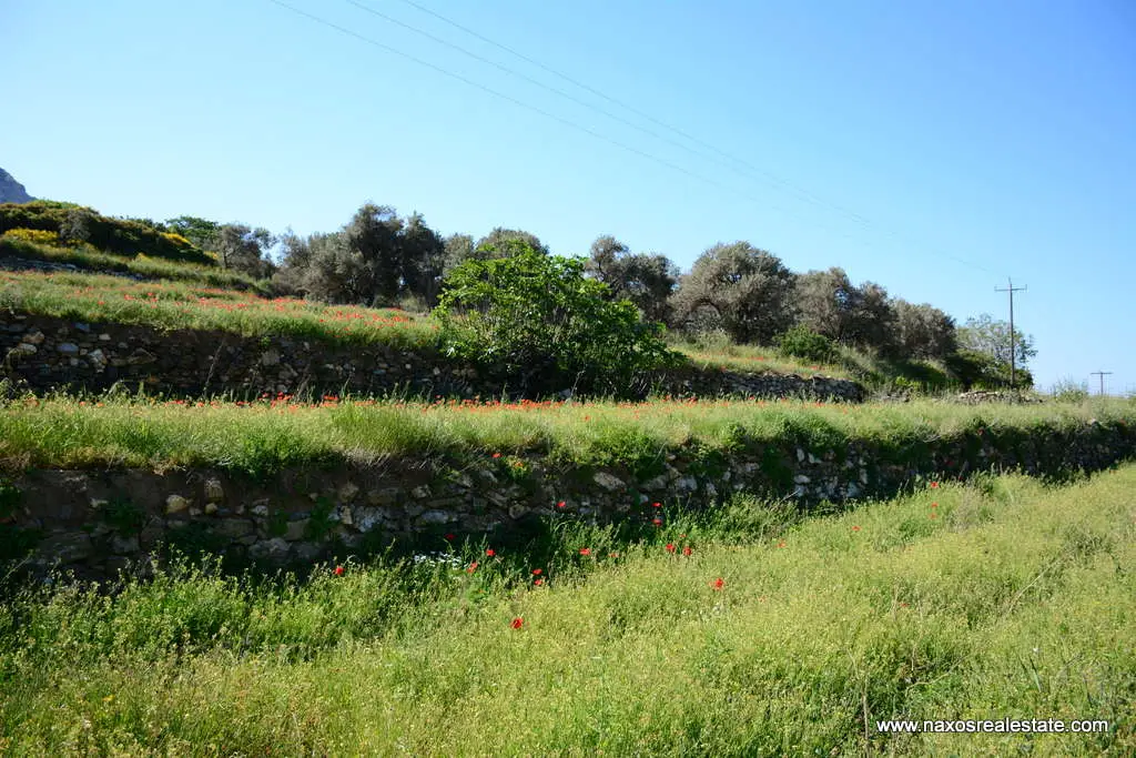 Moni Naxos – Plot 4.030m2 / 640686