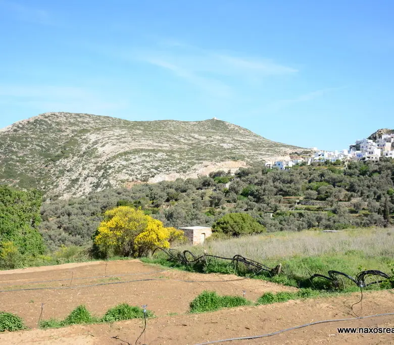 Moni Naxos – Plot 4.030m2 / 640686