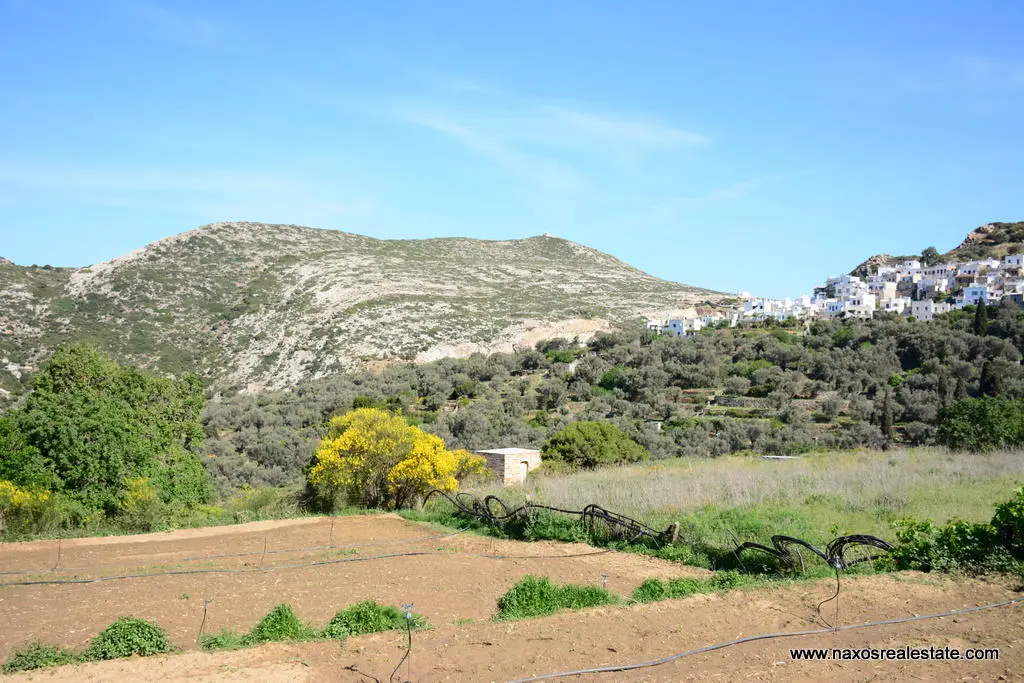 Moni Naxos – Plot 4.030m2 / 640686