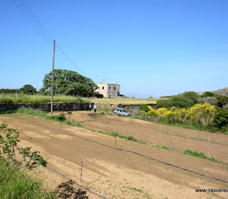Moni Naxos – Plot 4.030m2 / 640686