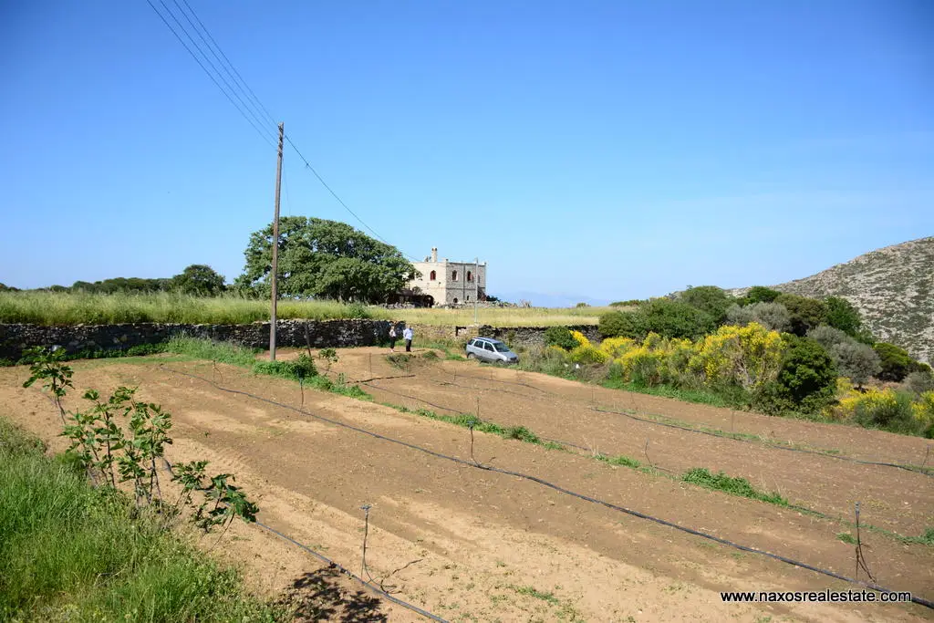 Moni Naxos – Plot 4.030m2 / 640686