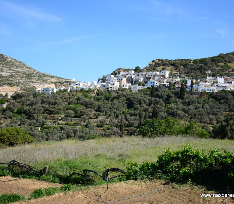Μονή Νάξου – Αγροτεμάχιο 4.030m2 / 640686