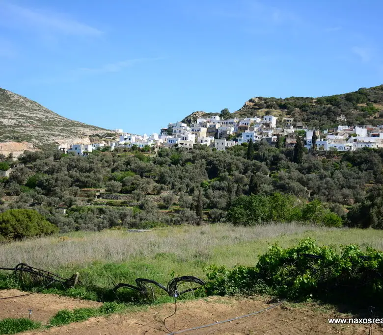 Moni Naxos – Plot 4.030m2 / 640686