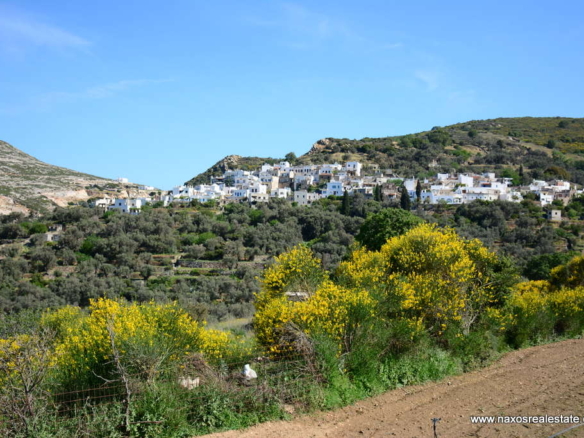 Μονή Νάξου – Αγροτεμάχιο 4.030m2 / 640686