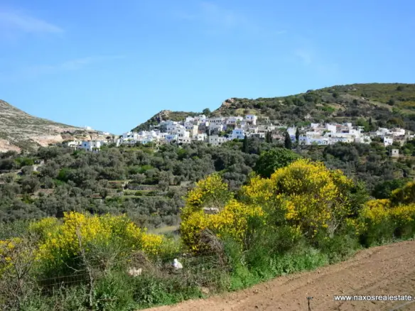Moni Naxos – Plot 4.030m2 / 640686
