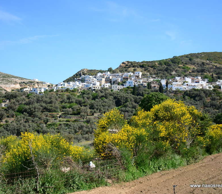 Μονή Νάξου – Αγροτεμάχιο 4.030m2 / 640686