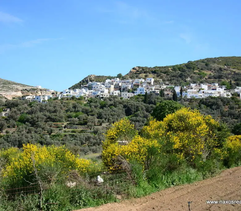 Moni Naxos – Plot 4.030m2 / 640686