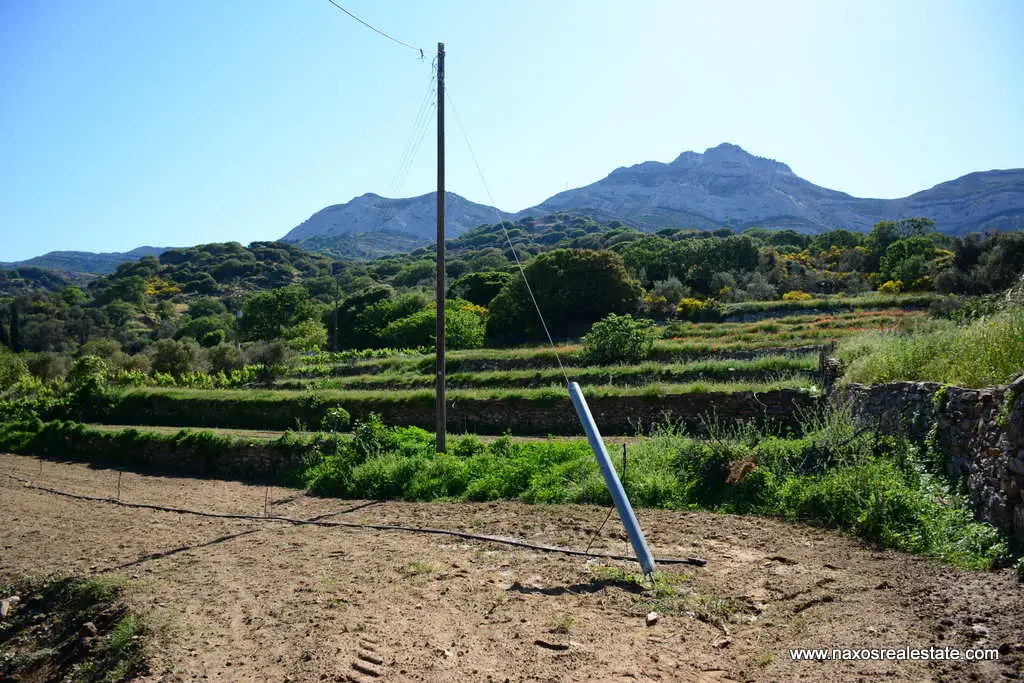 Moni Naxos – Plot 4.030m2 / 640686
