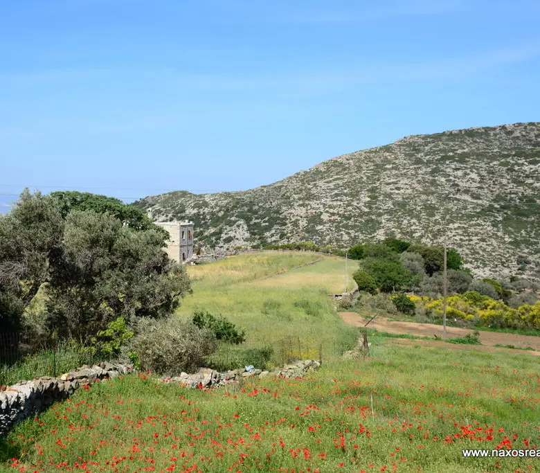 Moni Naxos – Plot 4.030m2 / 640686
