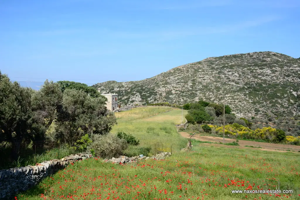 Moni Naxos – Plot 4.030m2 / 640686