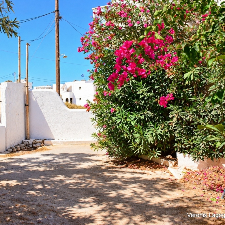 Agia Anna Naxos / House of 70m2 / 640692