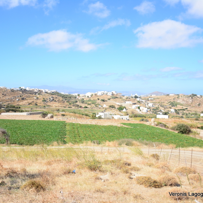 Γαλανάδο Νάξος / Οικόπεδο 1000m2 / 640691