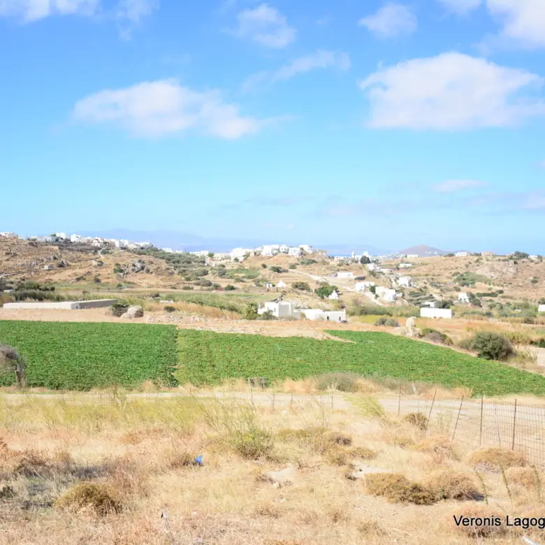 Galanado Naxos / Plot of 1000m2 / 640691