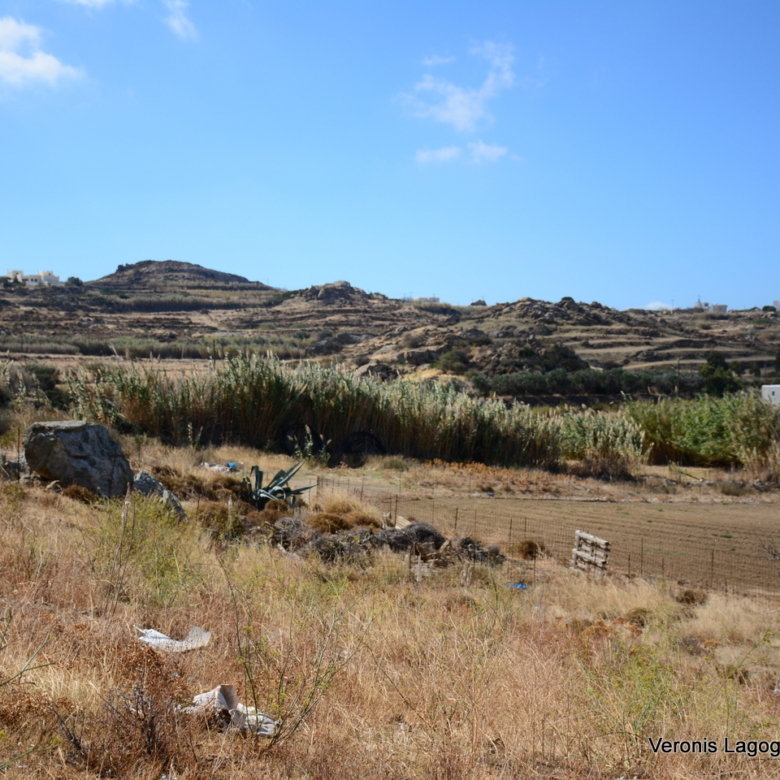 Γαλανάδο Νάξος / Οικόπεδο 1000m2 / 640691