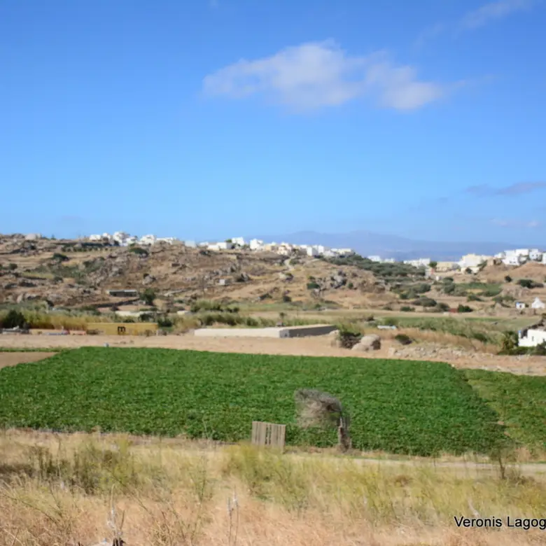 Galanado Naxos / Plot of 1000m2 / 640691