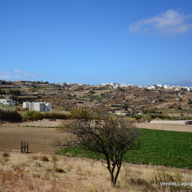 Galanado Naxos / Plot of 1000m2 / 640691