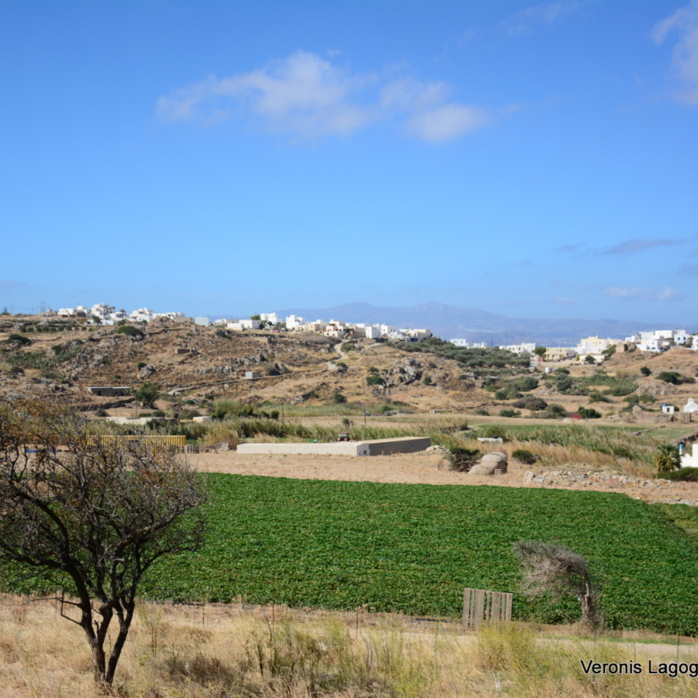 Γαλανάδο Νάξος / Οικόπεδο 1000m2 / 640691